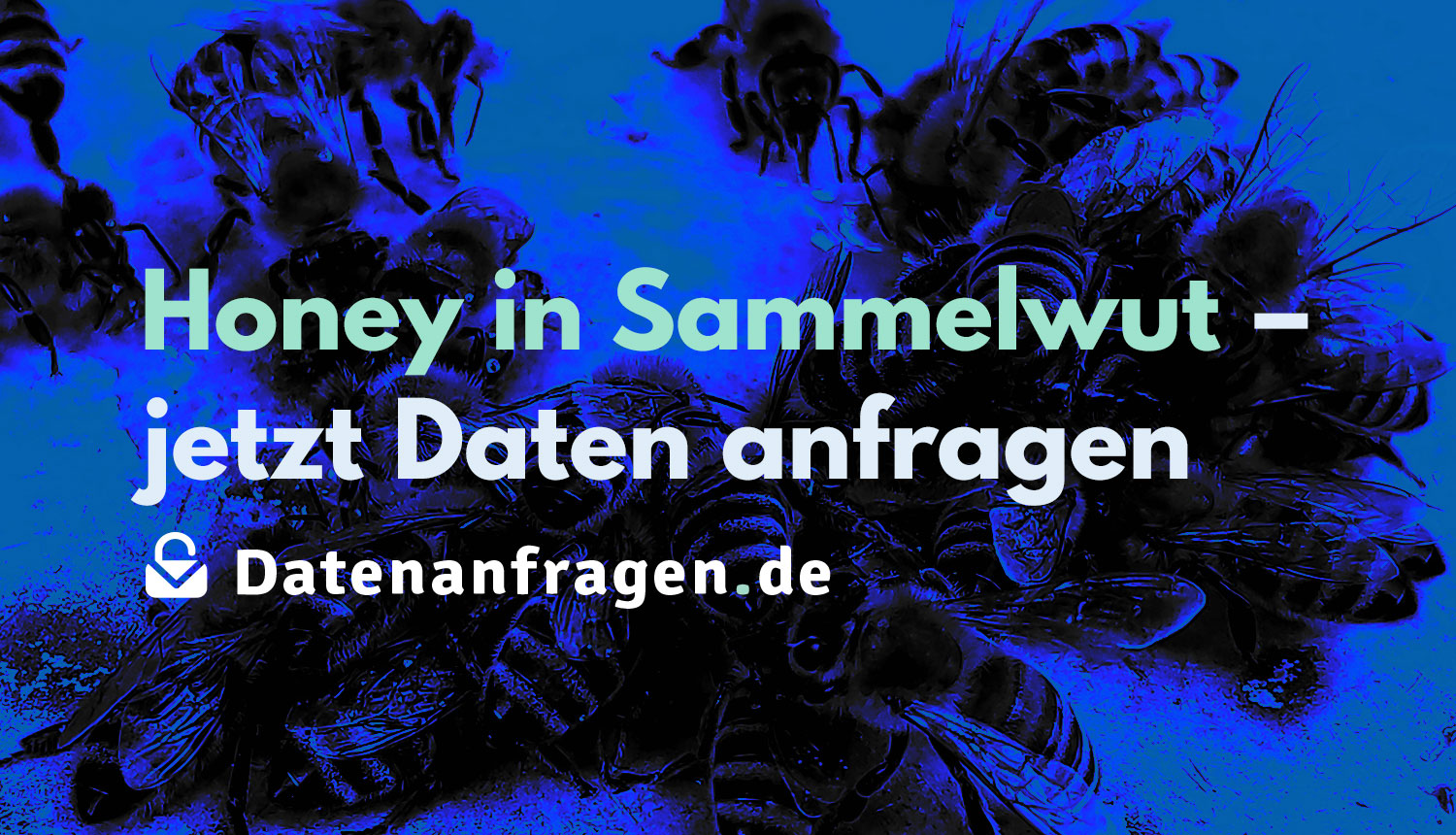 Honey in Sammelwut – jetzt eine Kopie Deiner Daten anfragen